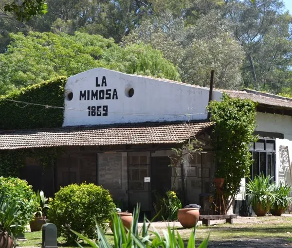 BASÍLICA DE LUJÁN Y ESTANCIA LA MIMOSA – 19 de julio