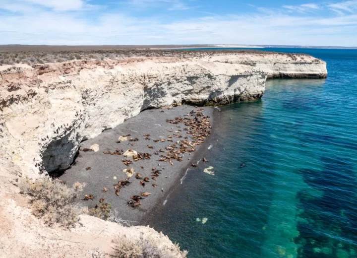 Puerto Madryn y Península Valdés – 18 de Noviembre