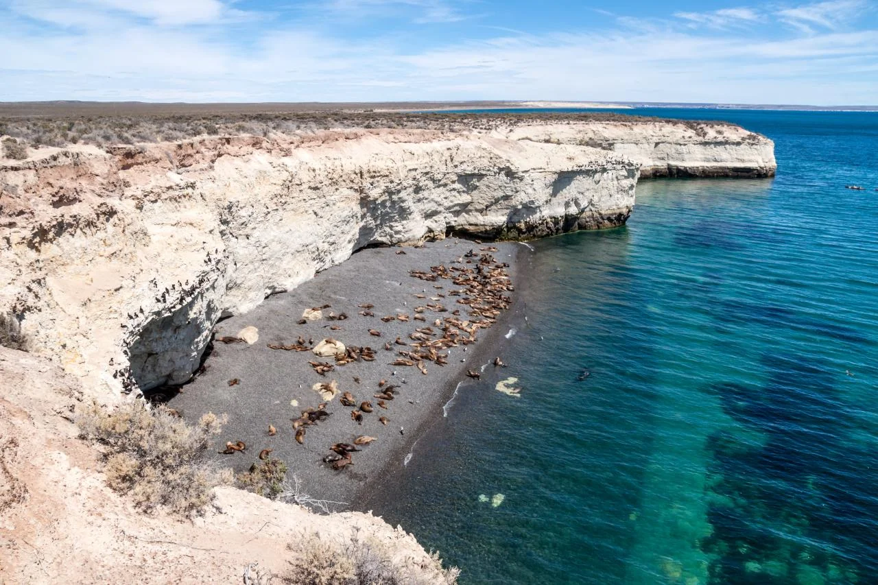 Puerto Madryn y Península Valdés – 18 de Noviembre