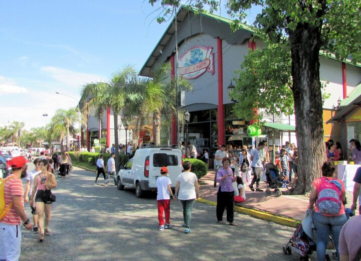 MUSEO RIVER + PUERTO DE FRUTOS